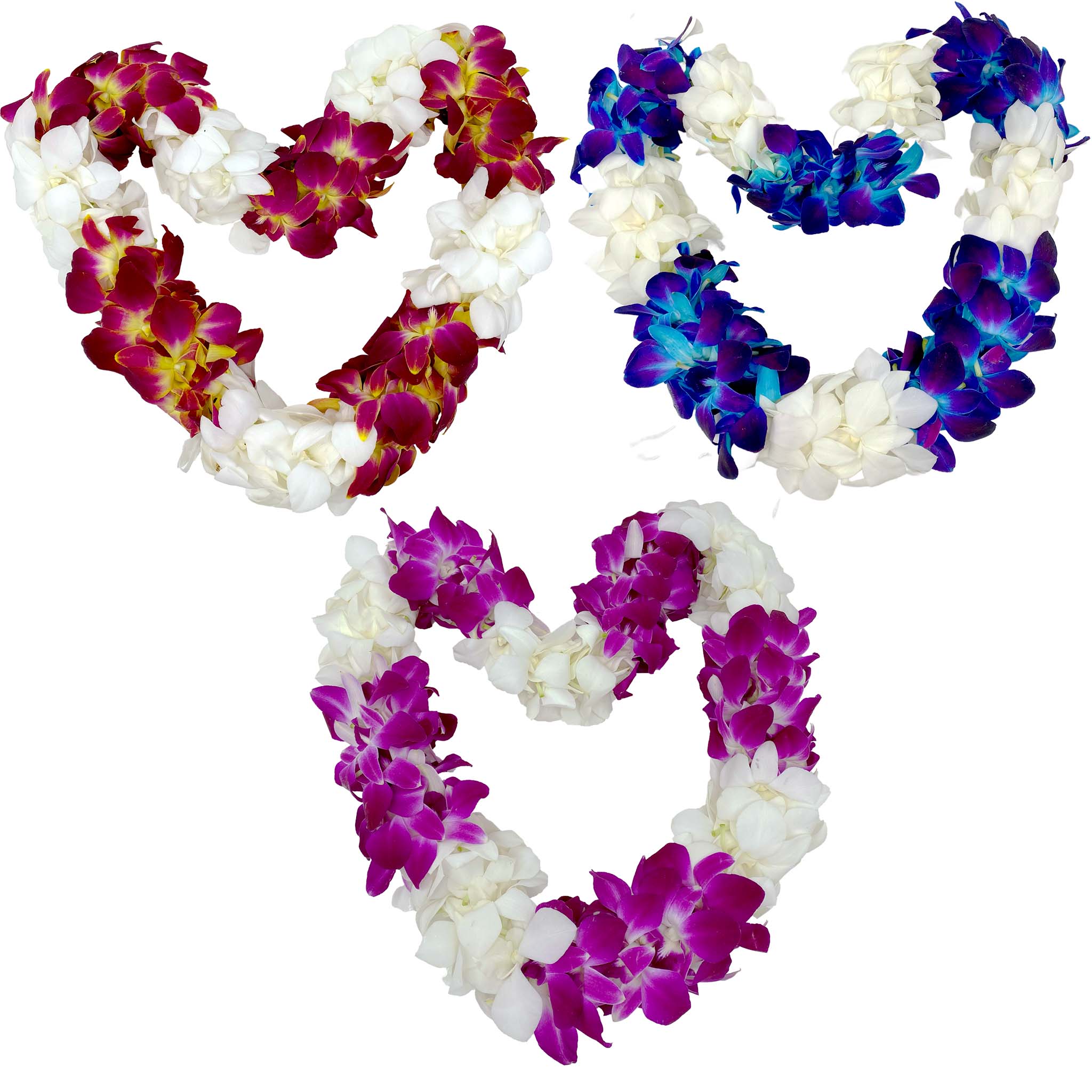 Orchid Leis